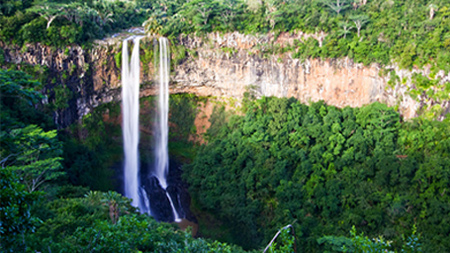 Image of Black River Gorges National Park